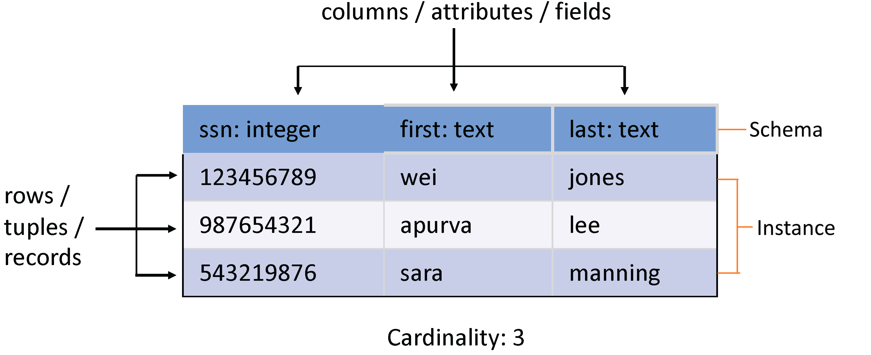 Database