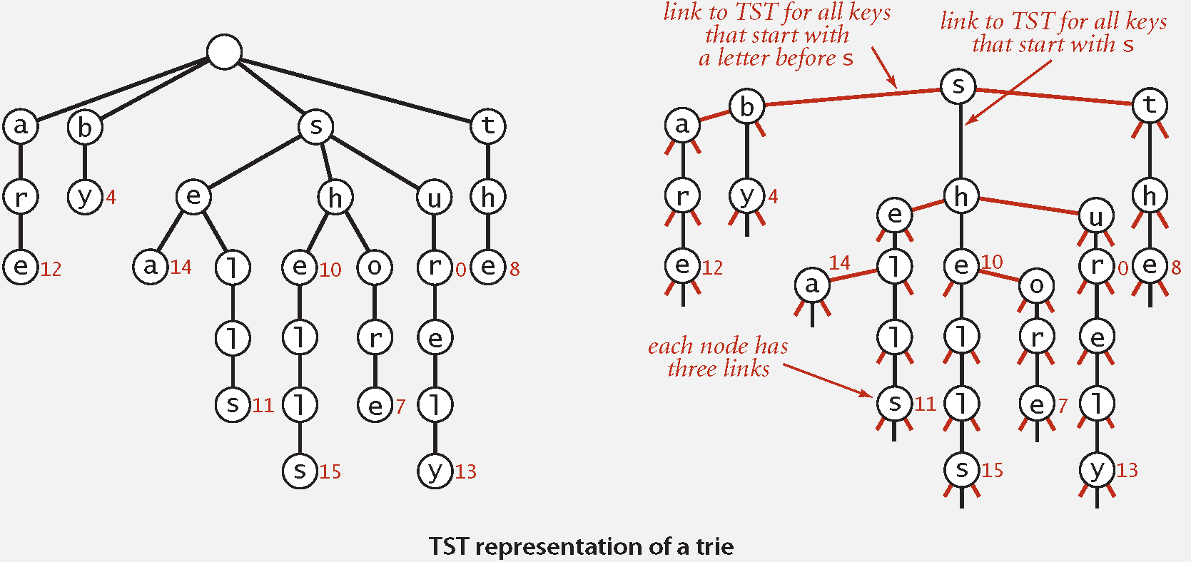 TST Representation